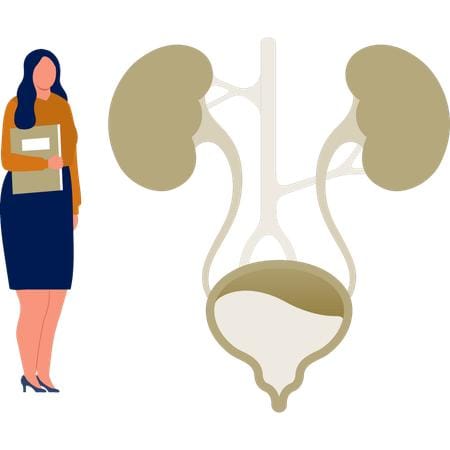 Woman beside a urinary-system illustration